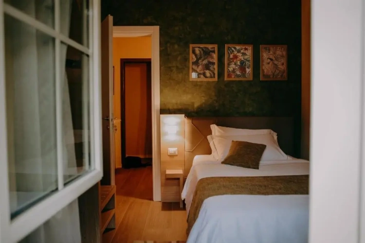 Superior Single room