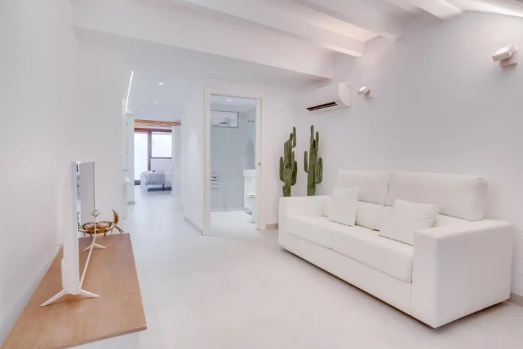 Basement Apartment