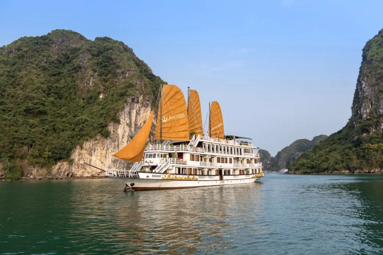 Ancora Cruises