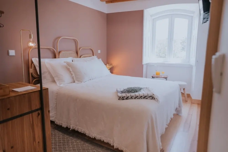 Comfort Suite