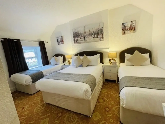 Deluxe Triple room with mountain view