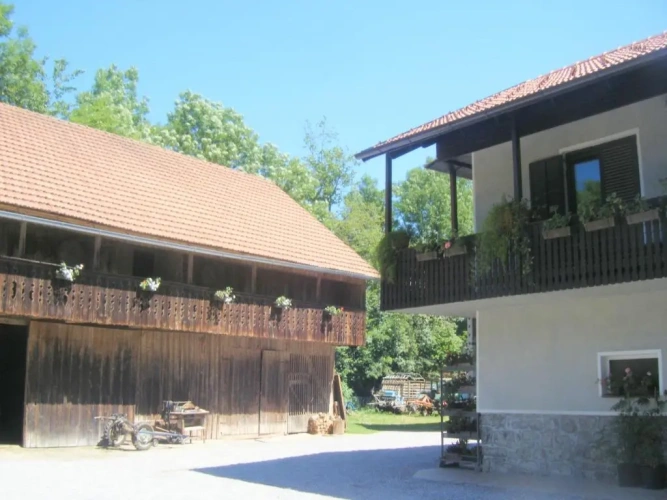 Standard Double room with balcony and with view