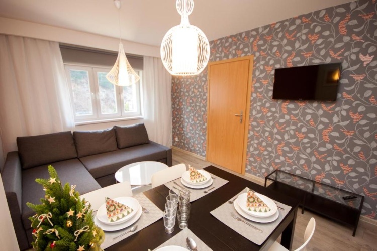 Deluxe Apartment