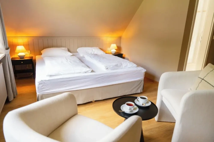 Standard Double room with lake view