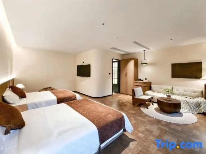 Standard Double room with mountain view