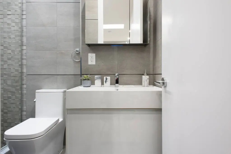 78-4b New Quality 1br W D in Unit Skylight