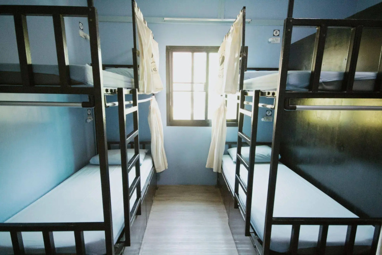 Counting Sheep Hostel