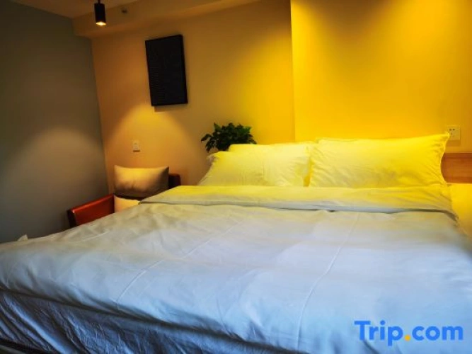 1 Bedroom Standard Double room