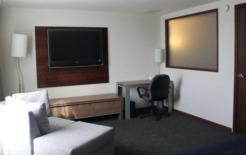 1 Bedroom Suite