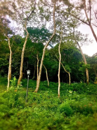Wan Ruey Resort