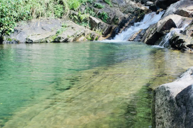 Sandalu Kithulgala
