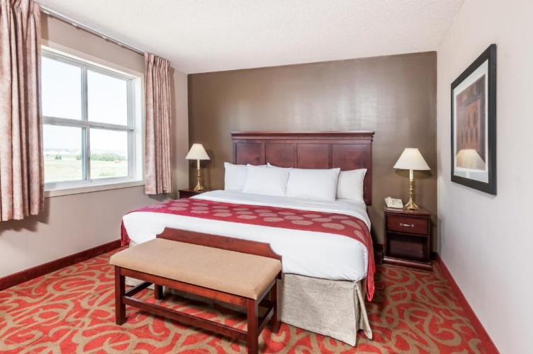 Business Double Studio Suite