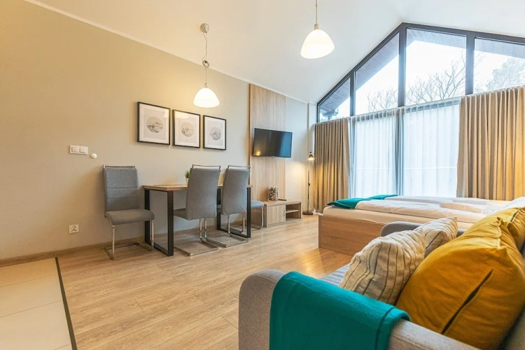 1 Bedroom Suite