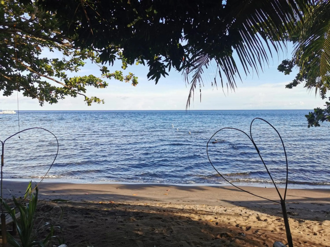 Tropical Beachhouse Dauin at Diving Sanctuary