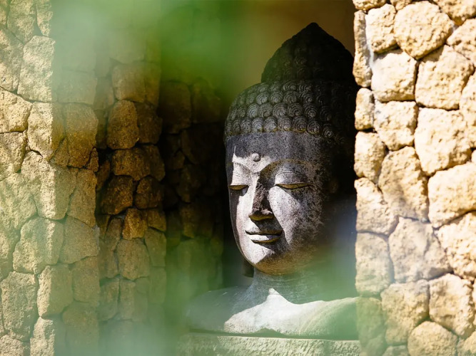 Villa Simona OasisOver view