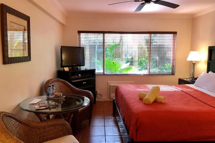 Studio with garden view