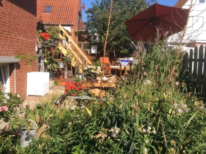 Schwalbennest_ Silke Felix