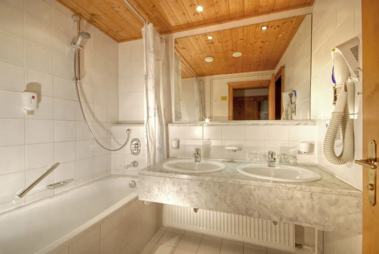 Standard Double room with balcony and with mountain view