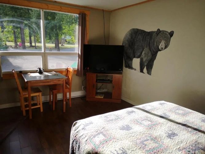 Standard room with view