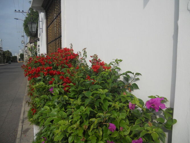 Imagen de Hotel Patio De Getsemani