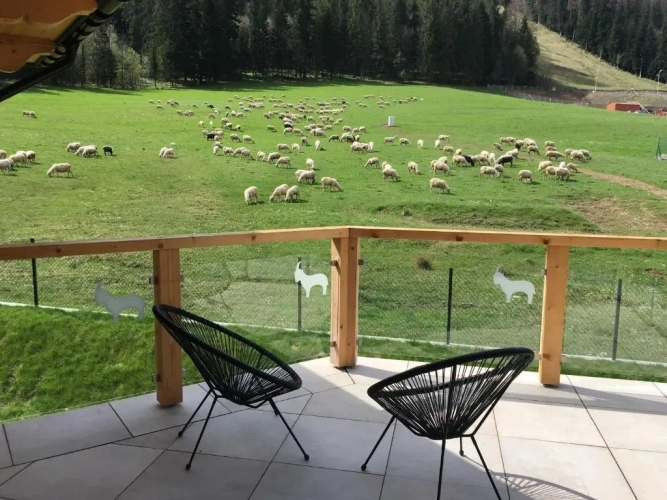1 Bedroom Double Apartment with balcony