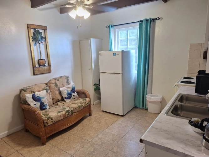 Deluxe Apartment