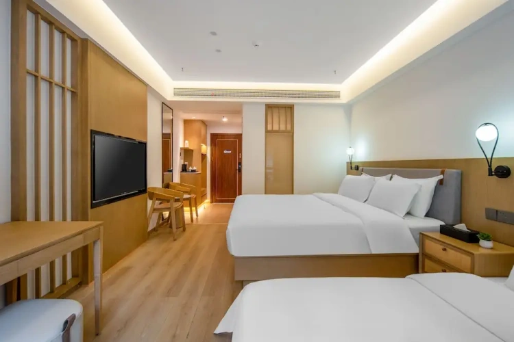 Standard Twin room with balcony and with view