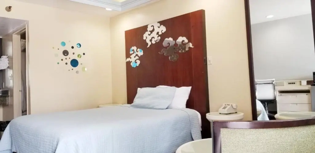 Deluxe Single room