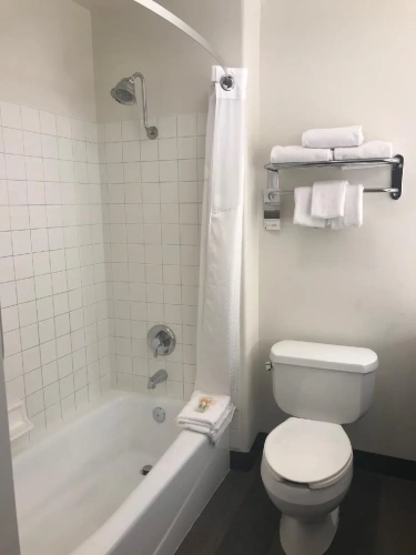 Quadruple Suite