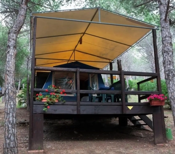 Tent