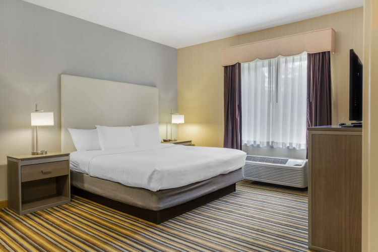 Best Western Plus New England Inn & Suites photo 7