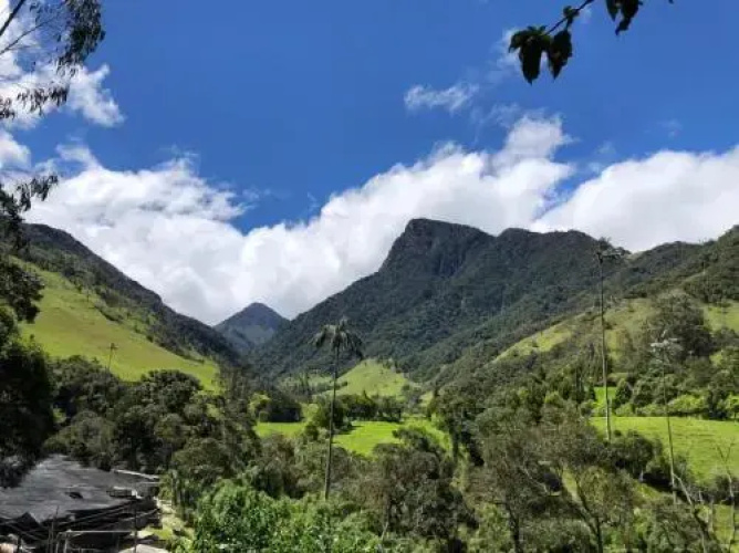Cabañas Truchas Cocora