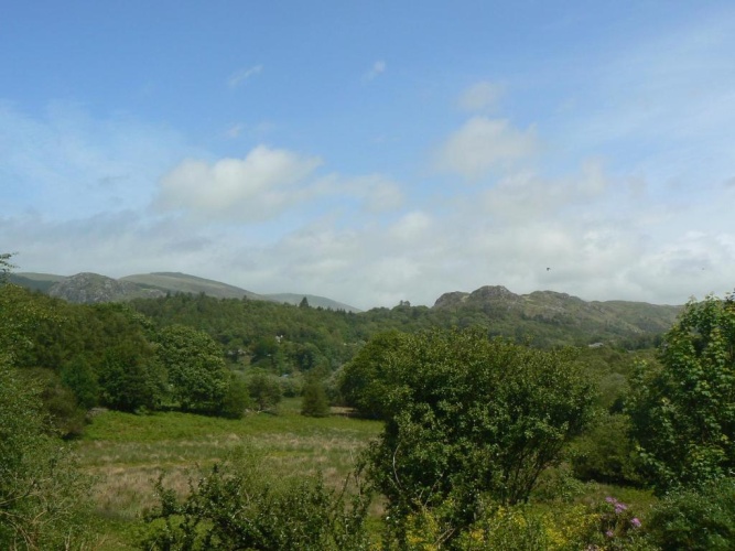 Standard Double room with view