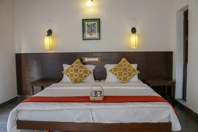 Mahua Tola Tadoba