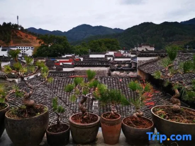 Wubentang Hotel