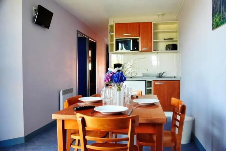 1 Bedroom Standard Apartment