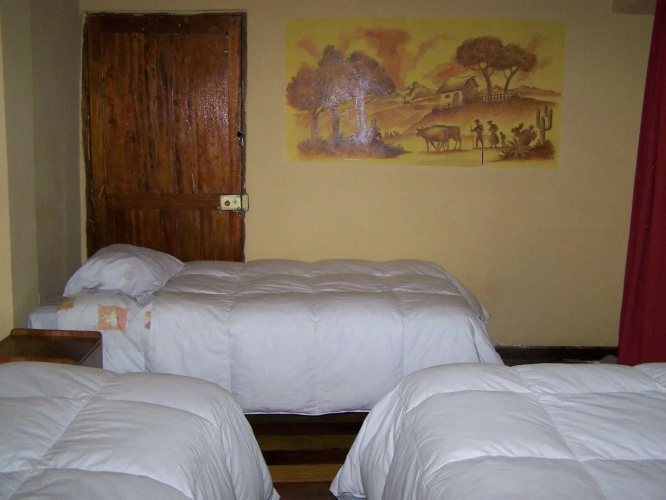 Orquidea Real Hostal