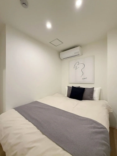 Luxury Apartment