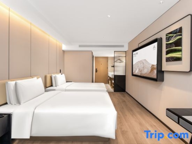 Executive Twin room