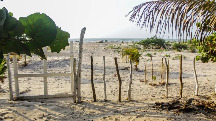 Playa Samara Hostel