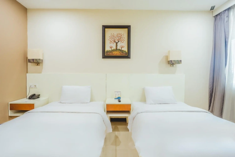 Deluxe Twin room