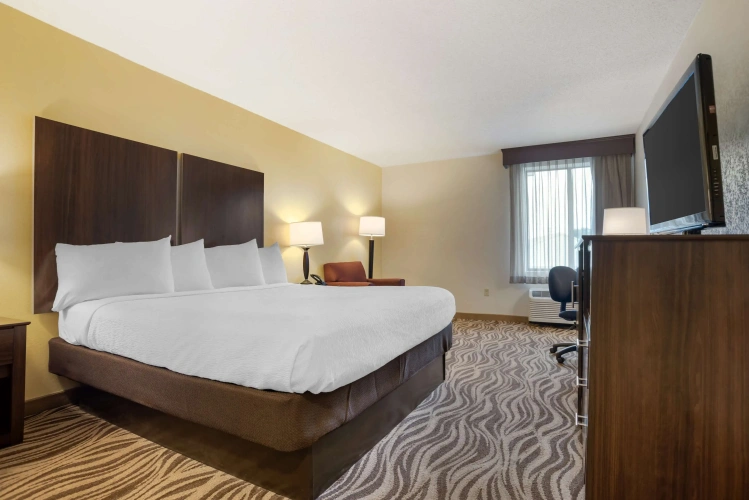 Standard Double room