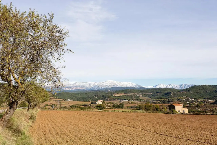 Torre Caïm