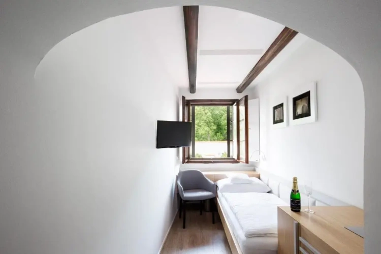 Standard Single room with park view