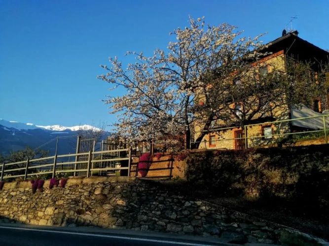 Cottage