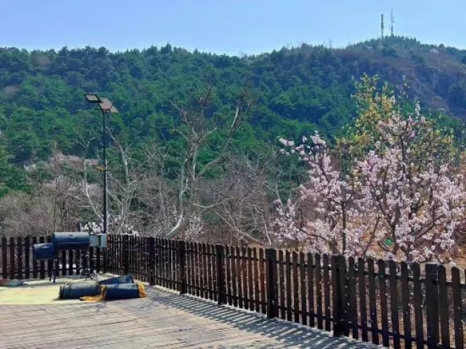 Outside