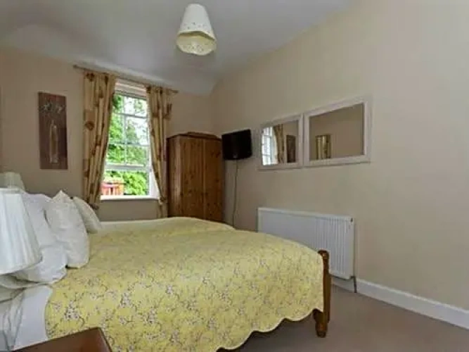 Superior Twin room with garden view