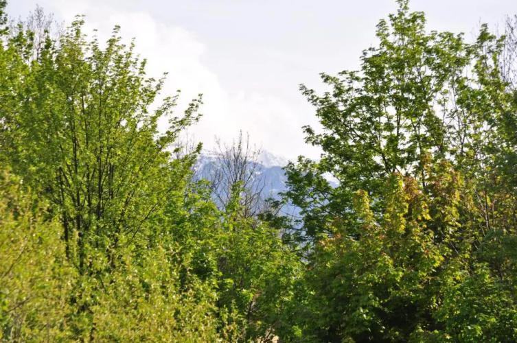 Apartament Stroma 32 A