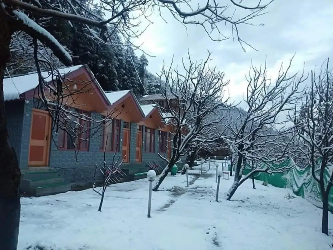 Deluxe Cottage