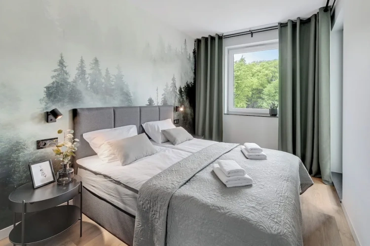 1 Bedroom Comfort Apartment with balcony